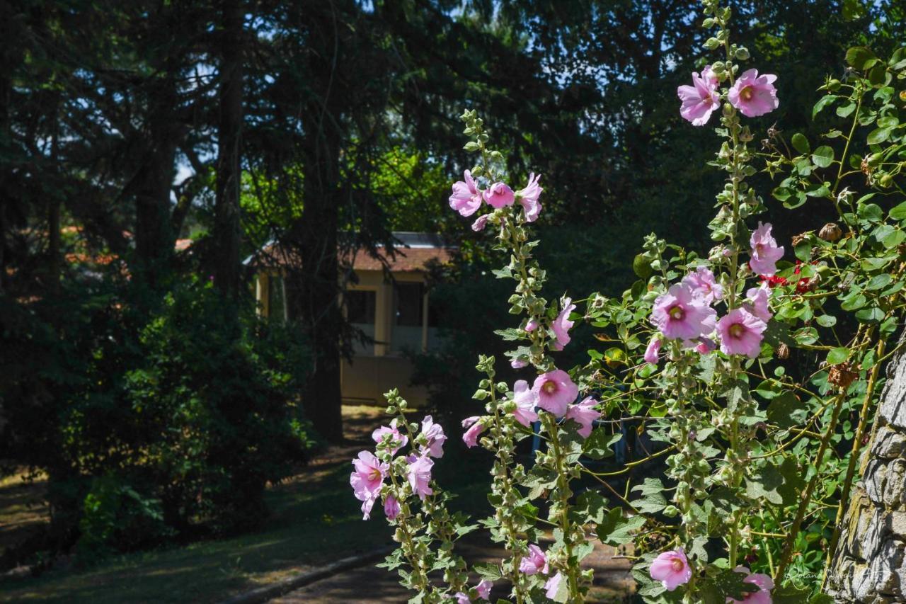 Logis La Chaumiere Saint-Laurent-sur-Sevre